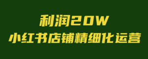 小红书精细化运营,一个店铺2个品,净赚20W-佳佳宝库