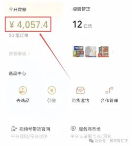 微信视频号带货，新手0粉小白一天收入1000+，在家用手机就能搞生活费（附实操教程）-佳佳宝库